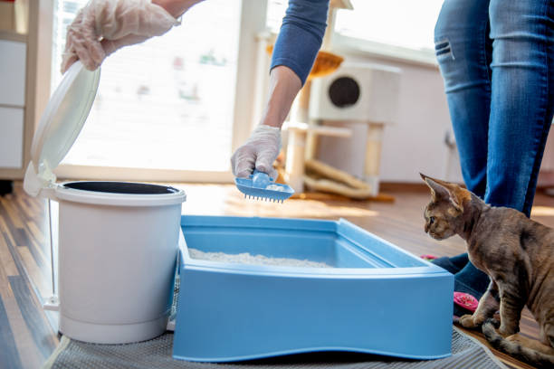 cleaning tips for pet owners