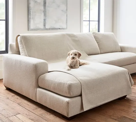 dog resting over a sofa