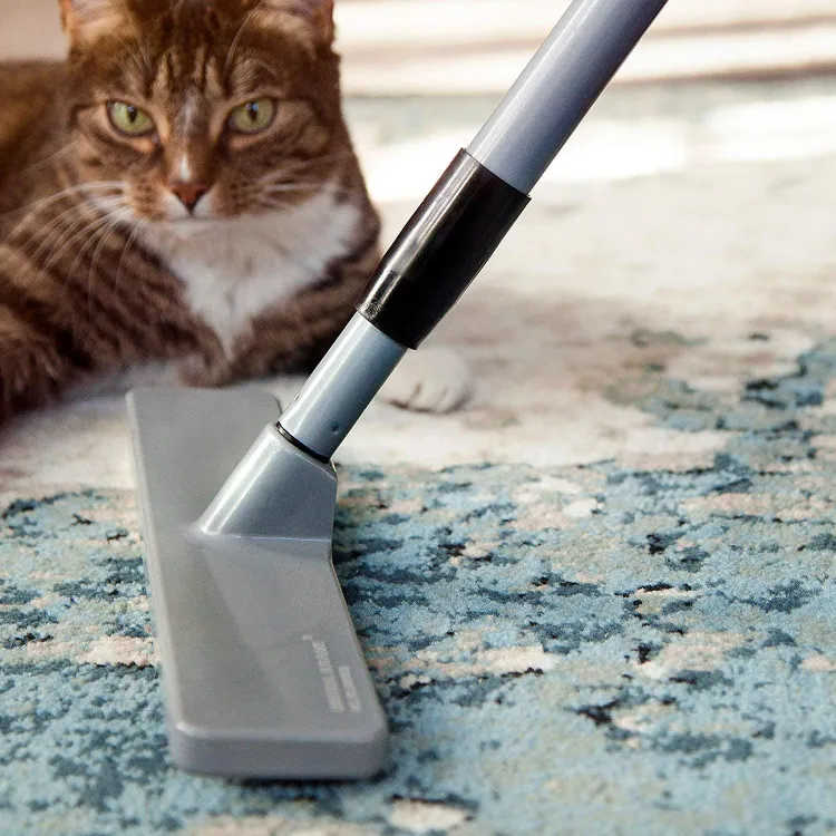 judging cat behind a mop