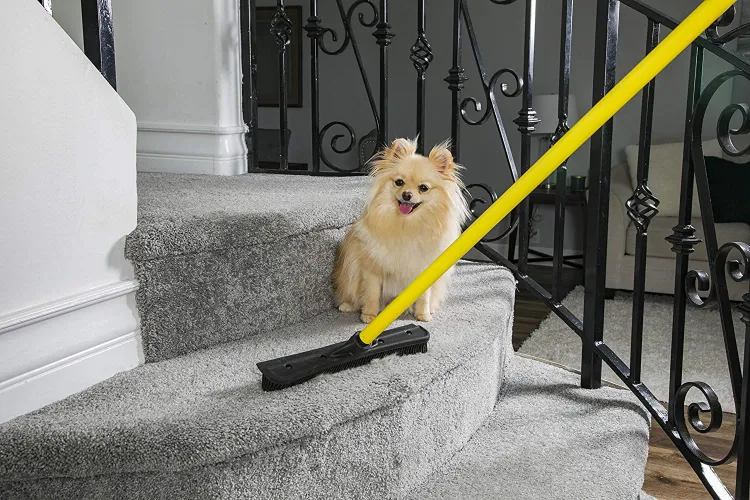 small dog behind a cleaning tool