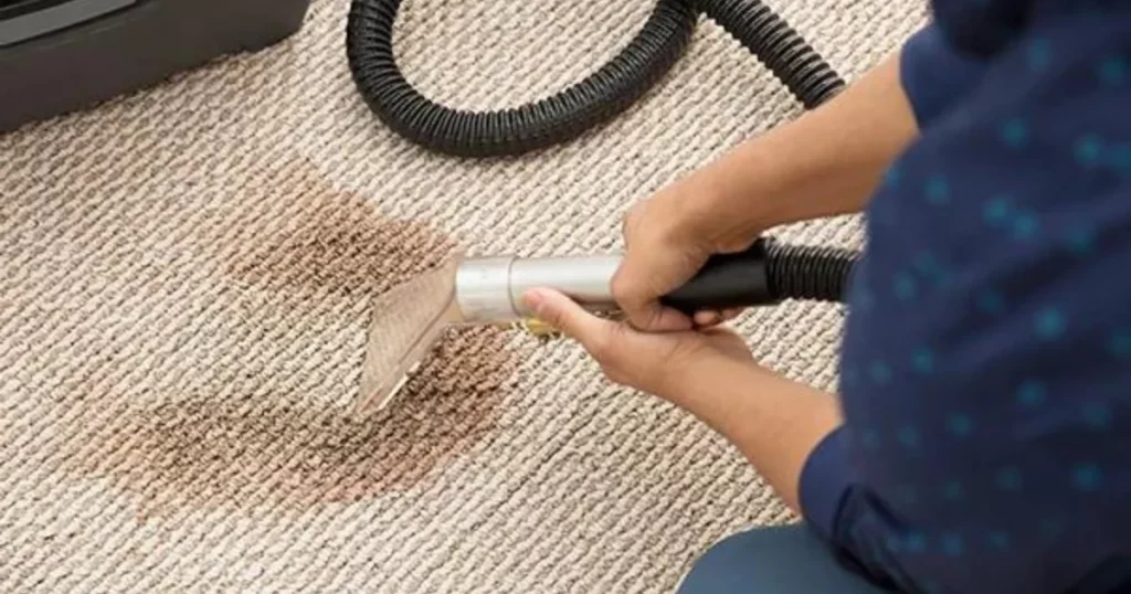 man using a steam cleaner for carpet spot removal
