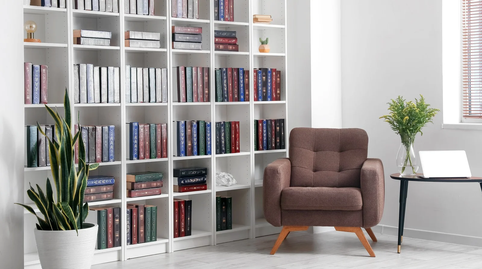 Bookshelf Cleaning and Book Care An Essential Guide for Book Lovers