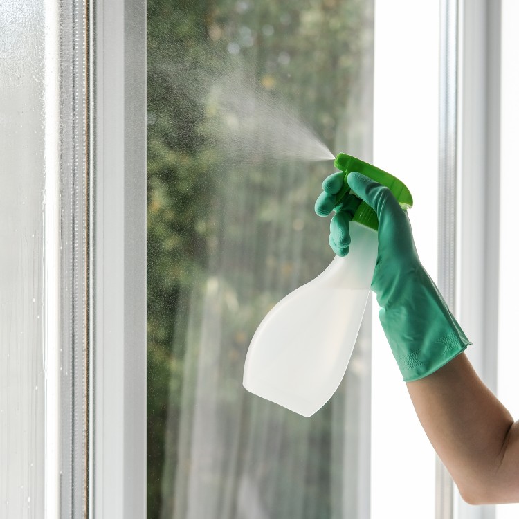 Cleaning services in Metro Atlanta, GA