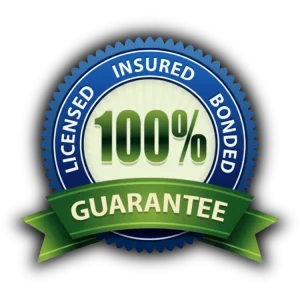 Cleaning services in Metro Atlanta, GA